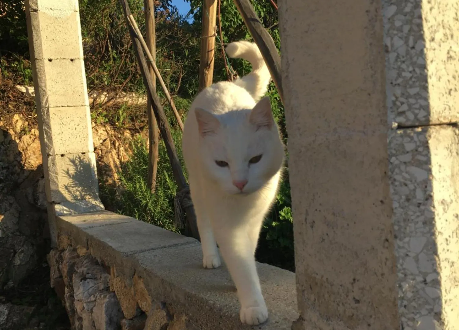 Naturelove Dorgali